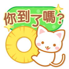 Cat-Fruits-Chinese (Traditional) sticker #5570285