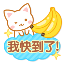Cat-Fruits-Chinese (Traditional) sticker #5570289