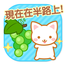 Cat-Fruits-Chinese (Traditional) sticker #5570302
