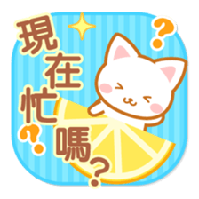 Cat-Fruits-Chinese (Traditional) sticker #5570317