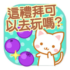 Cat-Fruits-Chinese (Traditional) sticker #5570318