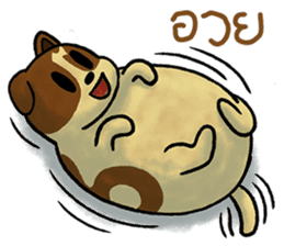 OUN Dog Bangkok sticker #5570453