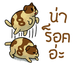 OUN Dog Bangkok sticker #5570460