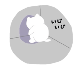 Go for white cat sticker #5574607