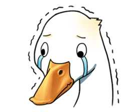 Quack Quack Duck Talk sticker #5574858