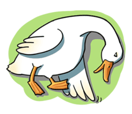 Quack Quack Duck Talk sticker #5574869