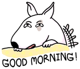 Arron the Bull Terrier (II) sticker #5577599