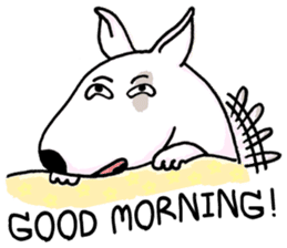 Arron the Bull Terrier (II) sticker #5577599