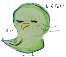 true parrots "boo" sticker #5579585
