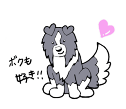 Dog species illustrated book. sticker #5579695