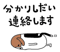 I beagle dog sticker #5580219