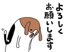 I beagle dog sticker #5580232