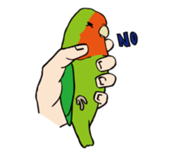 Lovebird. sticker #5581704