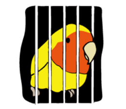 Lovebird. sticker #5581717
