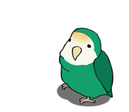 Lovebird. sticker #5581718
