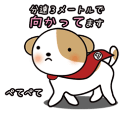 shih-tzu Yama-chan sticker #5589046