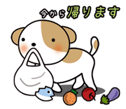 shih-tzu Yama-chan sticker #5589047