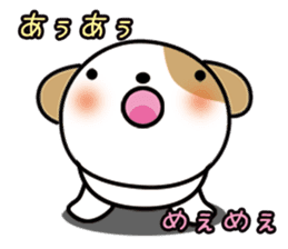 shih-tzu Yama-chan sticker #5589060