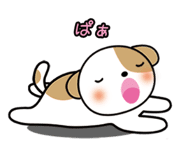 shih-tzu Yama-chan sticker #5589062