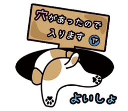 shih-tzu Yama-chan sticker #5589071
