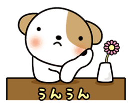 shih-tzu Yama-chan sticker #5589072