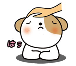 shih-tzu Yama-chan sticker #5589076
