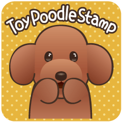 Cute! Lovely! Toy Poodle!