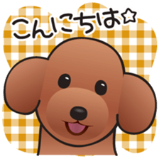 Cute! Lovely! Toy Poodle! sticker #5589125