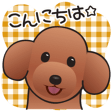 Cute! Lovely! Toy Poodle! sticker #5589125