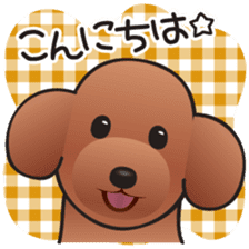 Cute! Lovely! Toy Poodle! sticker #5589125