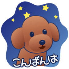Cute! Lovely! Toy Poodle! sticker #5589126