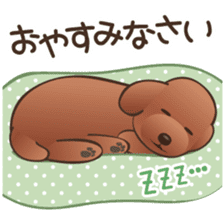 Cute! Lovely! Toy Poodle! sticker #5589127