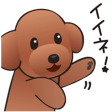 Cute! Lovely! Toy Poodle! sticker #5589128
