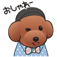 Cute! Lovely! Toy Poodle! sticker #5589129