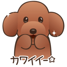 Cute! Lovely! Toy Poodle! sticker #5589130