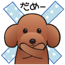 Cute! Lovely! Toy Poodle! sticker #5589133