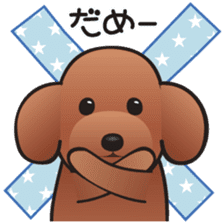 Cute! Lovely! Toy Poodle! sticker #5589133