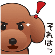 Cute! Lovely! Toy Poodle! sticker #5589134