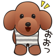 Cute! Lovely! Toy Poodle! sticker #5589135