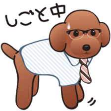 Cute! Lovely! Toy Poodle! sticker #5589136