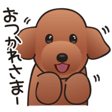 Cute! Lovely! Toy Poodle! sticker #5589139