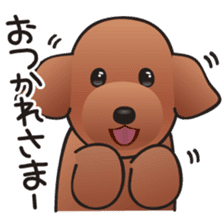Cute! Lovely! Toy Poodle! sticker #5589139