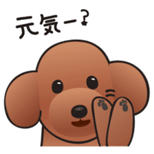 Cute! Lovely! Toy Poodle! sticker #5589140