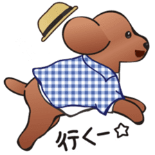 Cute! Lovely! Toy Poodle! sticker #5589141