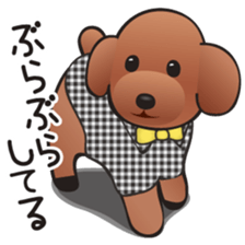 Cute! Lovely! Toy Poodle! sticker #5589143