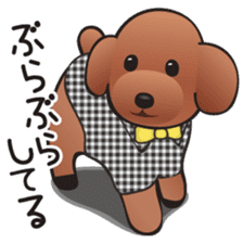 Cute! Lovely! Toy Poodle! sticker #5589143