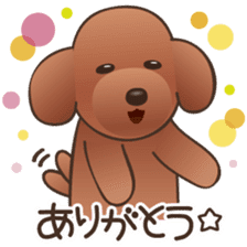 Cute! Lovely! Toy Poodle! sticker #5589150