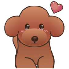 Cute! Lovely! Toy Poodle! sticker #5589151