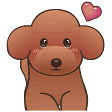 Cute! Lovely! Toy Poodle! sticker #5589151