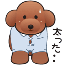 Cute! Lovely! Toy Poodle! sticker #5589152